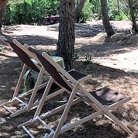 Tente Bord De Lodge